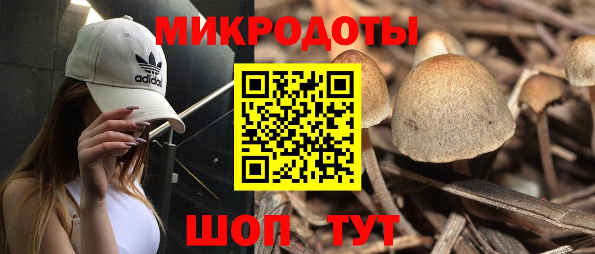 Галлюциногенные грибы мицелий  Вход с VPN  Горячий Ключ 
